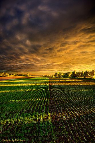 Agriculture Pictures, Agriculture Photography, Outdoor Photography Tips, Country Backgrounds, Farm Photography, Clouds Photography, Scenery Pictures, Ulsan, Landscape Wallpaper