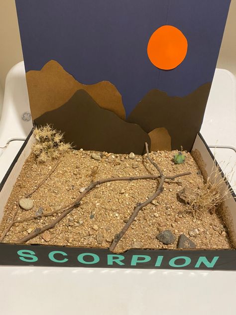 Scorpion In Desert, Desert Shoe Box Project, Scorpion Habitat Diorama, Desert Habitat Diorama, Desert Diorama Ideas, Desert Diorama Ideas For Kids, Desert Habitat Project, Desert Project For School, Desert Habitat Projects For Kids