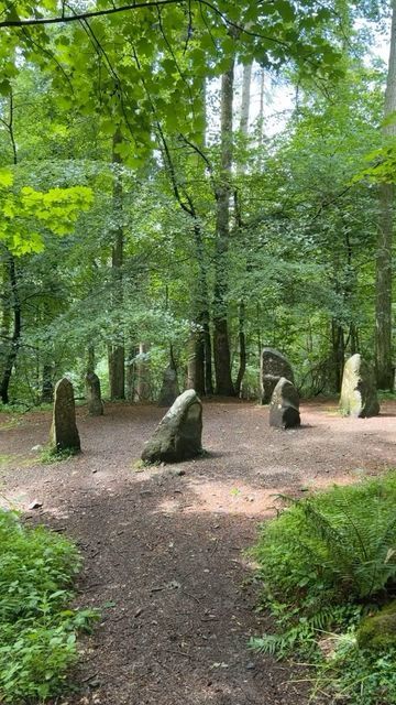 Irish Forest Aesthetic, Ireland Instagram Story, Prehistoric Crafts, Irish Forest, Ireland Forest, Druid Grove, Celtic Aesthetic, Mythical Garden, Irish Aesthetic