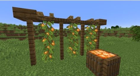 Minecraft Barrel Ideas, Outside Decor Minecraft, Minecraft Indoor Garden, Minecraft Wine Cellar, Minecraft Garden Decorations, Cute Minecraft Decorations, Minecraft Shops Building, Sugar Cane Farm Minecraft, Minecraft Vineyard