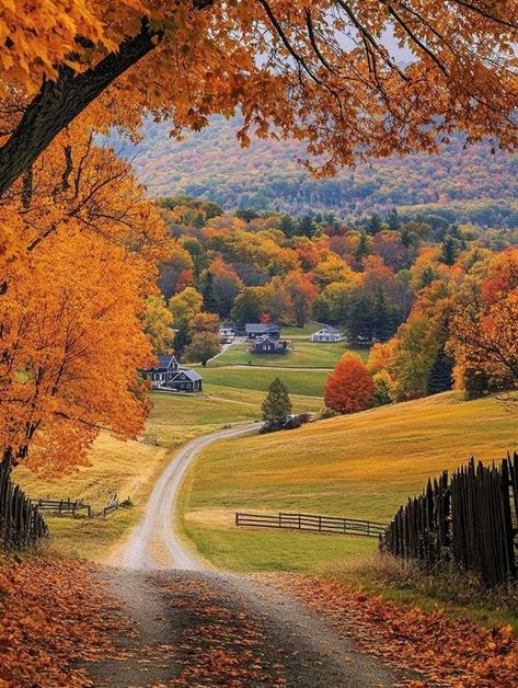 Berkshires Massachusetts, The Berkshires, Autumn Scenes, Autumn Scenery, Fall Is Here, Autumn Beauty, Fall Pictures, We Fall In Love, Autumn Cozy