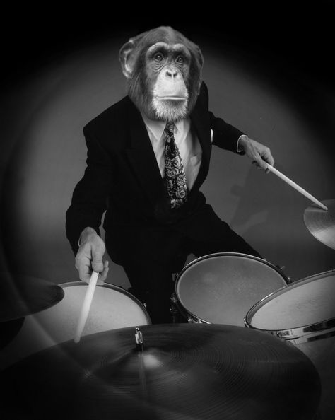 Michael Cole, Monkey Wallpaper, Monkey Pictures, How To Play Drums, Artist Sketchbook, Monkeys Funny, Animal Sketches, Aesthetic Images, Neuroscience