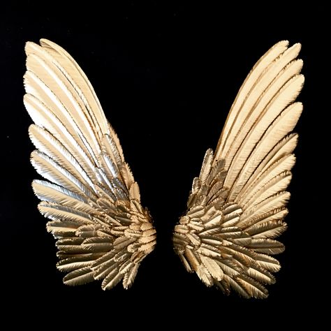 White And Gold Aesthetic Pictures, Gold Bird Aesthetic, Gold Wings Angels, Gold Aesthetic Pictures, Wing Aesthetics, Wings Aesthetics, Angel Wings Aesthetic, Black And Gold Artwork, Aesthetic Wings