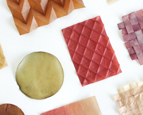 PROJECTENpagina | Lionne van Deursen Auxetic Pattern, Colour Experiments, Bio Materials, Explore World, Material Research, Fruit Leather, Bio Art, Material Science, Material Palette