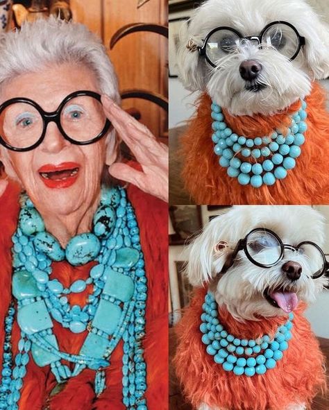 Iris Apfel Quotes, Style Icons Outfits, Old Lady Fashion, Style Icons Women, Old Lady Humor, Female Role Models, King Fashion, Rare Birds, Advanced Style