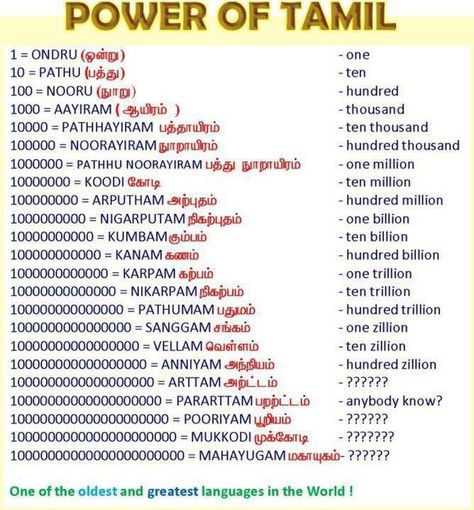 Tamil Numbers, Tamil History, Tamil Images, Learn Tamil, Tamil Learning, Dravidian Languages, Tamil Words, Tamil Culture, Math Quotes