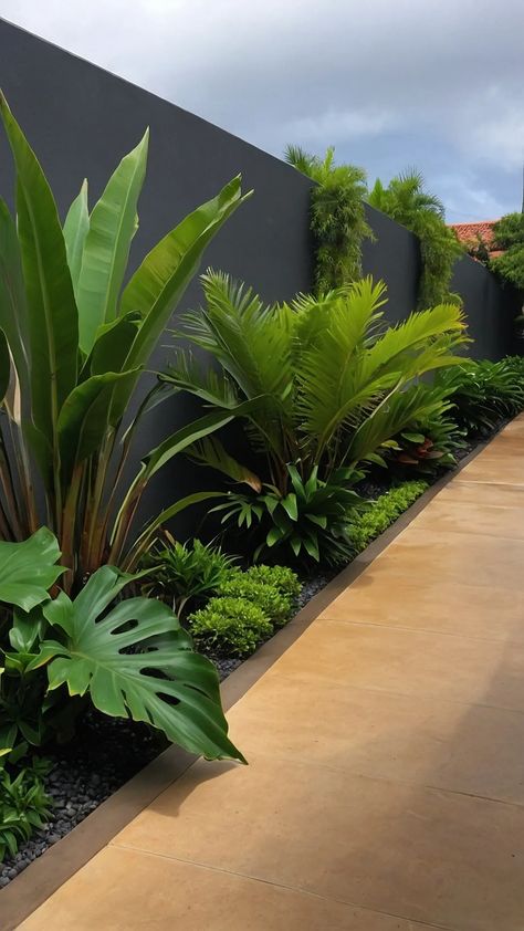 Revamp Your Garden: 15 Tropical Landscaping Ideas You’ll Love - pulsepathlife.com Beautiful Plants For Garden, Birds Of Paradise Garden Ideas, Bird Of Paradise Plant Landscape, Tropical Modern Landscaping, Tropical Fence Landscaping, Florida Landscaping Ideas Backyard Pool, Caribbean Garden Ideas, Pool Plants Ideas, Bali Style Garden Landscape Design