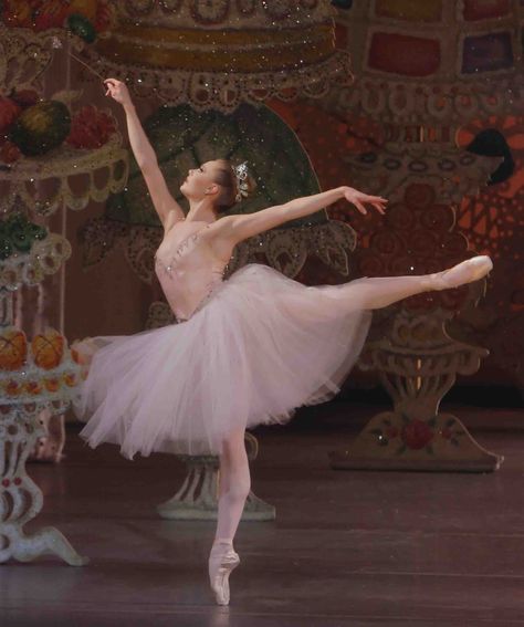 The Nutcracker Ballet, the Sugar Plum Fairy Sara Mearns, Ballet Nutcracker, Flower Tutu, Australian Ballet, Ballet Pictures, Tout Rose, Ballet Beauty, George Balanchine, Ballet Poses