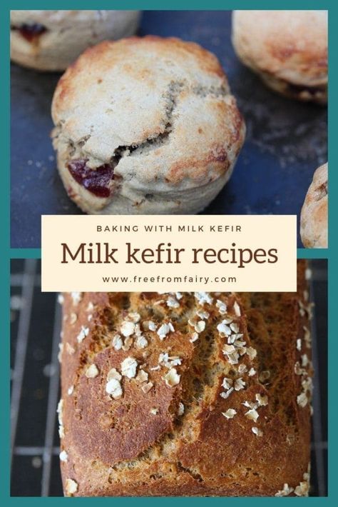 Gluten Free Soda Bread, Milk Kefir Recipes, Kefir Benefits, Gluten Free Scones, Kefir Recipes, Kefir Grains, Milk Kefir, Water Kefir, Fermentation Recipes