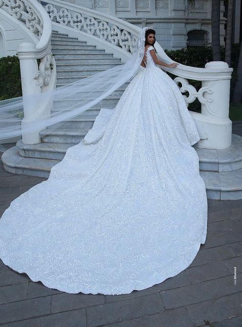 Wedding Dresses With Cathedral Train, Luxury Wedding Dress Ballgown Long Train, Big Wedding Dresses With Long Trains, Puffy Wedding Dresses, Extravagant Wedding Dresses, Big Wedding Dresses, Wedding Gown Backless, Most Paused Movie Scenes, Disney Wedding Dresses