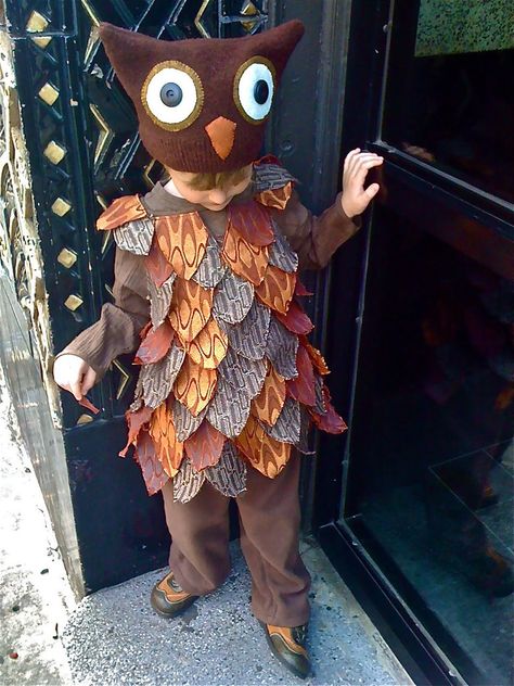 My preschooler insisted for weeks that he only wanted to be himself for Halloween, so when he decided an owl costume might be acceptable, I ran with it. The hat is constructed from a felted sweater, with felt eyes and pupil buttons purchased at the flea market in Woodstock, NY. The bodice is an Old Navy tunic covered in "feathers" made from upholstery remnants. The pants are fleece. And the boy is mine. Easy Owl Costume, Toddler Owl Costume Diy, Toddler Owl Costume, Diy Owl Costume, Owl Costume Kids, Owl Costume Diy, Owl Halloween Costumes, Fancy Dress Costumes Kids, Halloween Fits