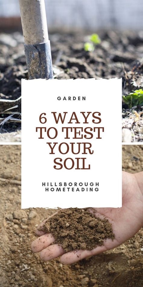 Need to test the soil in your home vegetable garden? Want to know what your plants need? The different types of clay, sand and loam? Use these simple tips to test your soil for FREE. Including how to use baking soda, vinegar and a mason jar to test your soil pH. Click on the pin to learn more! | Hillsborough Homesteading #garden #soil #water #articles #diy #yards #lawn Homesteading Garden, Soil Science, Soil Test, Cold Frames, Homesteading Ideas, Sustainable Gardening, Garden Remedies, Baking Soda Vinegar, Herb Gardening