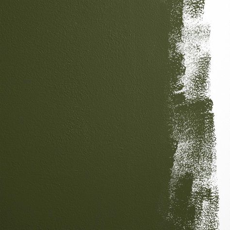 Backdrop Paint, Olive Green Paints, Night On Earth, Organic Compounds, Interior Wall Paint, Mirror With Hooks, Green Backdrops, Paint Types, Wall Accessories