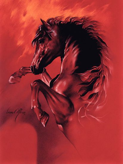 "Red Fury" by Sara Moon Sara Moon, Fire Horse, Horse Running, Red Horse, Christmas Paintings On Canvas, Large Canvas Painting, Horse Posters, Pastel Artwork, Horse Artwork