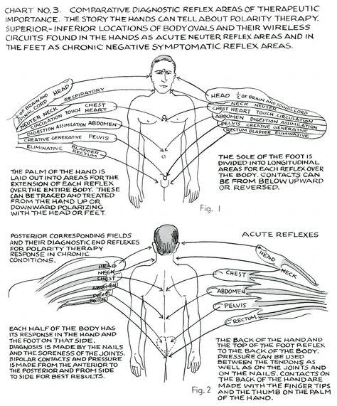 Polarity Therapy, Shiatsu Massage Acupressure, Energy Healing Reiki, Spirit Science, Energy Healing Spirituality, Shiatsu Massage, Energy Medicine, Alternative Healing, Acupressure Points