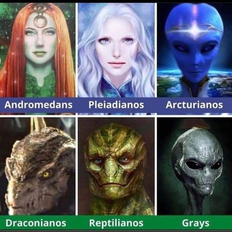 Sirian Aliens, Arcturians Aliens, Pleiadians Aliens, Alien Types, Alien Facts, Types Of Aliens, Aliens On The Moon, Alien Videos, Alien Pictures