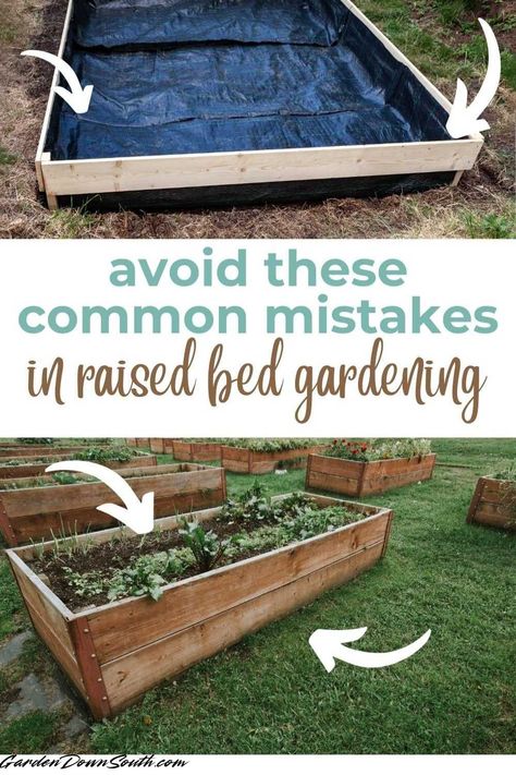 Top 10 Raised Bed Garden Mistakes to Avoid Raised Bed For Herbs, Diy Easy Raised Garden Bed, Budget Garden Boxes, Raised Garden Beds Around Fire Pit, Raised Garden Bed Against House, Raised Garden Bed Aesthetic, Elevated Garden Bed Ideas, Raised Garden Bed On Slope, Garden Ideas Raised Bed