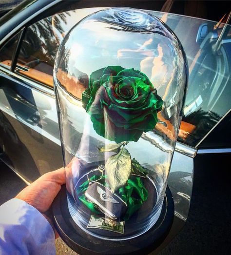 Real Beauty And The Beast Roses Exist, And They'll Last For 3 Years Beauty And The Beast Rose, Rose Dome, Rose In A Glass, Rose London, Fairytale Princess, Glass Rose, Enchanted Rose, Forever Rose, Engraved Plaque