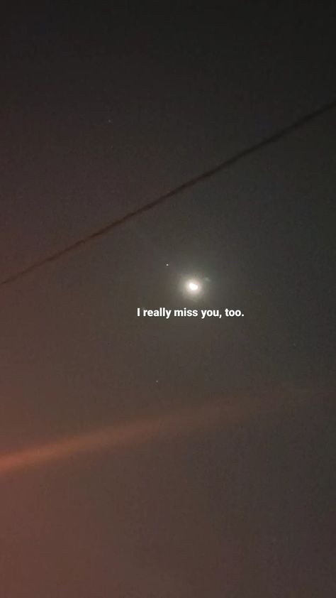 I really miss you, too. Miss You Too Images, I Really Miss You, I Miss You Too, I Miss You Dad, Miss You Too, Look At The Moon, Human Condition, Always You, Conan Gray