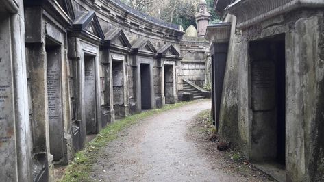 21 most haunted places in the world: Haunted places to visit | escape.com.au Most Haunted Places In The World, Hoia Baciu Forest, Colorado Resorts, Famous Legends, Highgate Cemetery, Most Haunted Places, Ghost And Ghouls, Valley Of The Kings, Scary Places