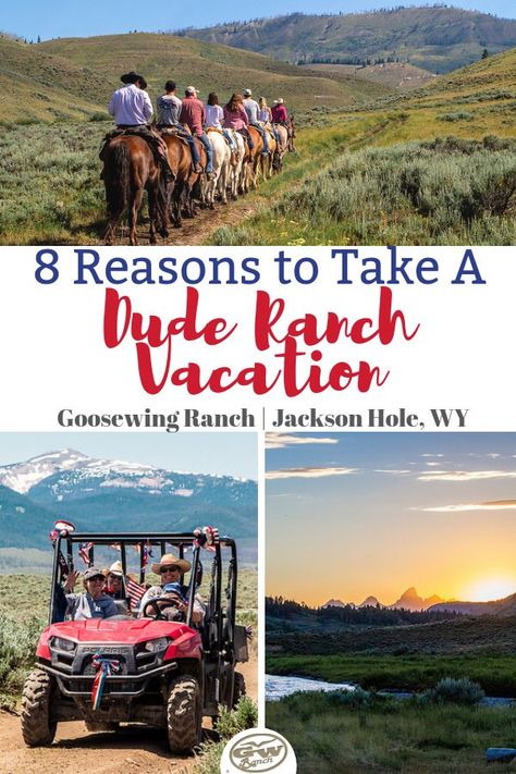 Looking for the ultimate family vacation? Here's 8 reasons to choose a dude ranch vacation. From food to horseback rides to exploring nature and new activities, there is something for everyone at a dude ranch. Especially if families and guests want to unplug from the stresses of life and get off the grid! We hope you are convinced to book a dude ranch experience with us at Goosewing Ranch in Jackson Hole, Wyoming. #duderanch #JacksonHole #duderanchvacation #Wyoming #thatsWY Western Vacation, Dude Ranch Vacation, Camper Maintenance, Dude Ranch Vacations, Ranch Vacation, Montana Vacation, Montana Travel, Horse Info, Guest Ranch