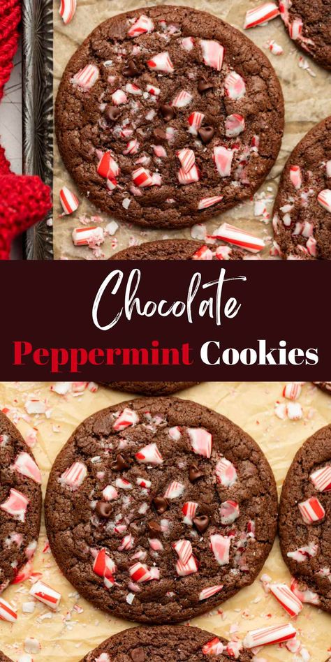 Chocolate Peppermint Cookies - I Heart Eating Chocolate Peppermint Drop Cookies, Christmas Cookies Recipes Chocolate Peppermint, Gluten Free Chocolate Mint Cookies, Easy Christmas Cookies Peppermint, Cocoa Peppermint Cookies, Cookies With Crushed Peppermint, Hot Cocoa Peppermint Cookies, Brownie Peppermint Cookies, Christmas Cookies Chocolate Peppermint