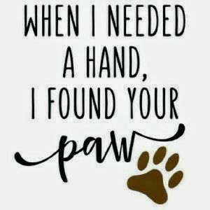 "WHEN I NEEDED A HAND, I FOUND YOUR PAW!" Dogs Quotes, Dog Sayings, Airedale Terrier, Dog Tattoo, Cat Quotes, Memes Humor, Animal Quotes, Dog Quotes, Chi Chi