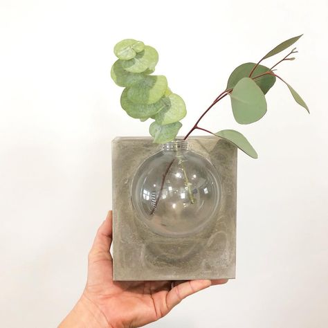 621 Me gusta, 62 comentarios - Wood Brain by Lindsay Zuelich (@wood_brain) en Instagram: "This is my entry into the @quikreteconcrete #quikrete1bagwonder contest. I used one bag of fast set…" Concrete Containers, Homemade Modern, Modern Industrial Design, Planter Project, نباتات منزلية, Succulent Gardens, Cement Color, Concrete Diy Projects, Concrete Vases