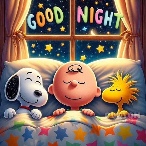 Snoopy Nation | 🌙💫Good Night 💫🌙Sleep Tight 😊 | Facebook Good Night Sleep Tight, Sleep Tight, Night Sleep, Good Night Sleep, Good Night, Snoopy, Sleep