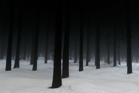 Livvy Dunne, Thai Font, Dark Winter, Winter Aesthetic, Dark Forest, Nature Aesthetic, Inspiration Board, Fantasy Landscape, In The Woods