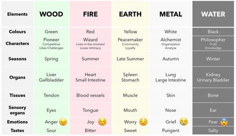 Organ Chart, Tcm Traditional Chinese Medicine, Five Elements, Poor Circulation, 5 Elements, Acupuncture Points, Large Intestine, Love Challenge, Earth Elements