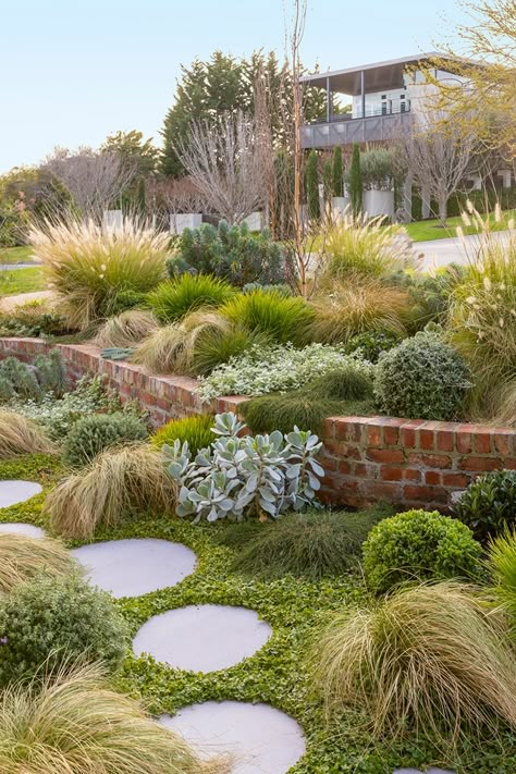 How to grow a coastal garden | Better Homes and Gardens Australian Garden Design, Diy Landscape, Coastal Garden, Australian Native Garden, Front Garden Design, Australian Garden, Australian Native Plants, Coastal Gardens, Grasses Garden