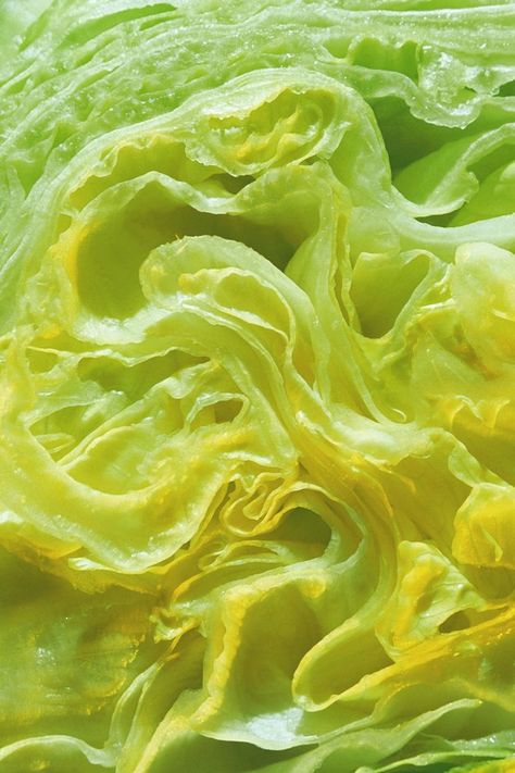 The Best Way to Clean & Store Iceberg Lettuce | eHow Iceberg Lettuce Recipes, Iceberg Wedge Salad, Wedge Salad Recipes, Lettuce Wedge, Kidney Friendly Diet, Lettuce Recipes, Wilted Lettuce, Wedge Salad, Head Of Lettuce