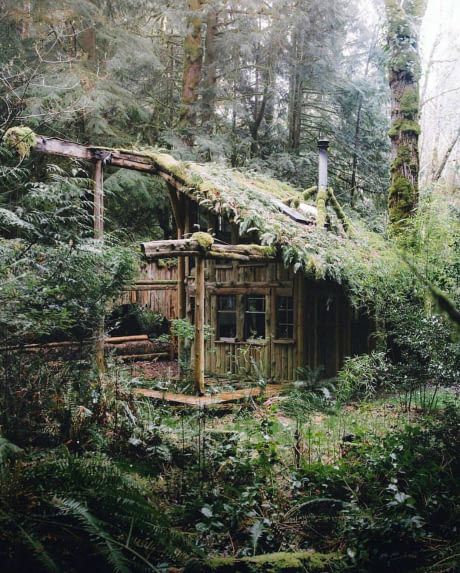 Perfectly Camouflaged Cabin Genshin Dr, Primitive Houses, Casa Hobbit, Bushcraft Shelter, Jake Park, Dream Cabin, Forest Cabin, Bushcraft Camping, Survival Shelter