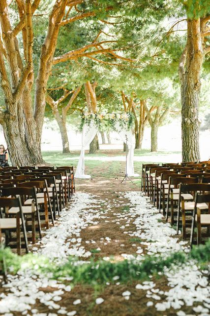 Garden ceremony arches and backdrops; wedding ceremony ideas; outdoor weddings; wedding decorations. #weddings #weddingideas Outdoor Wedding Ceremony Aisle, Courtyard Wedding, Wedding Isles, Rose Petals Wedding, Wedding Ceremony Ideas, Aisle Runner Wedding, Utah Wedding Photography, Aisle Flowers, Wedding Aisle Decorations