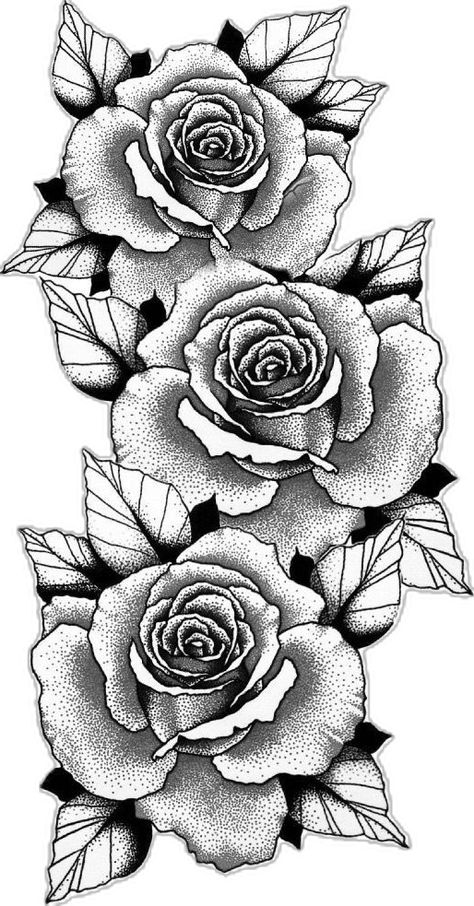 5 Roses Tattoo, Shading Practice, Rose Tattoo Forearm, Rose Flower Tattoos, Rose Sleeve, Three Roses, Tattoo Outline Drawing, Up Tattoo, Fire Tattoo