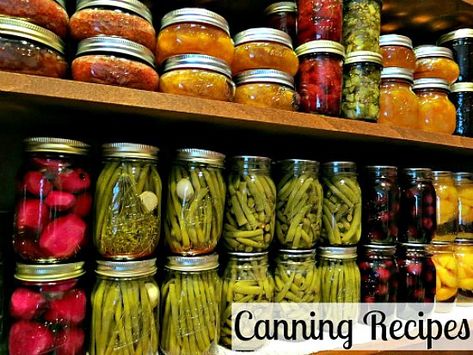 Preserving and Canning Equipment List - One Hundred Dollars a Month Thermomix, Pickles Eggs, Housewife Tips, Canning Equipment, Canning 101, Canning Fruit, Cooking Tricks, Canning Vegetables, Canning Food