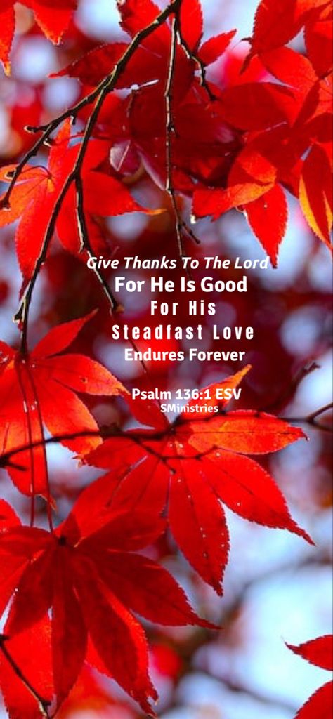 Psalm 136, Love Endures, Bible History, 1% Wallpaper, Happy Thoughts, Give Thanks, Bible Quotes, Psalms, Bible