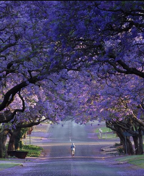 📍Pretoria, South Africa🇿🇦 - Africa is Home tourism center Nature, Pretoria, Africa Tourism, South Africa Photography, Pretoria South Africa, Vision Board Photos, World Cities, Southern Africa, Sky Aesthetic