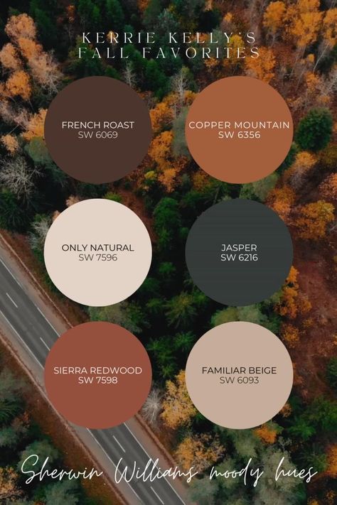 Fall Paint Colors, Diy Fall Wreaths, Earth Tone Living Room, Earth Tone Color Palette, Earthy Living Room, Earthy Home, Color Palette Ideas, Earth Tone Color, House Color Palettes