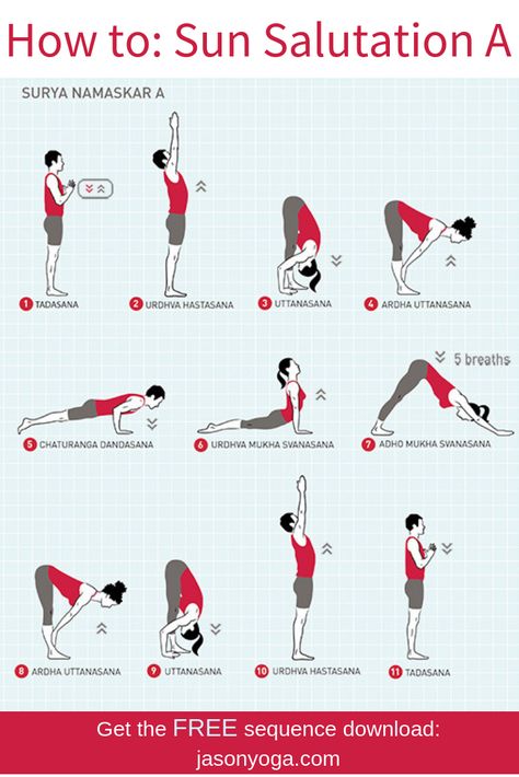 Sun Salutation A, Sun Salutation Sequence, Yoga Sun Salutation, Surya Namaskara, Yoga Nature, Sun Salutations, Surya Namaskar, Yoga Beginners, Sup Yoga