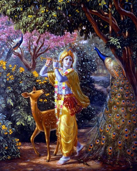 "When all the animals and trees and plants, either on the top of Govardhana Hill or in the valley, see the dancing of the peacocks, they… Krishna Avatar, Radha Krishna Songs, Krishna Flute, Shree Krishna Wallpapers, Lord Krishna Hd Wallpaper, Lord Krishna Wallpapers, Krishna Janmashtami, Krishna Radha Painting, Radha Krishna Images