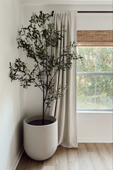 Modern Indoor Plants Decor, Indoor Olive Tree Living Rooms, Olive Tree Bedroom Decor, Olive Tree In Bedroom, Faux Plants Bedroom, Olive Tree Bedroom, Olive Tree Indoor, Bedroom Greenery, Tree Bedroom Decor