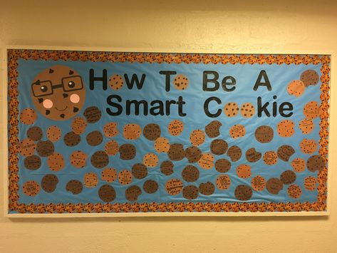 Cookie Bulletin Board Ideas, Smart Cookie Bulletin Board, Cookie Bulletin Board, Ra Bulletins, Ra Boards, Ra Bulletin Boards, Bulletin Board Design, Res Life, Door Decs