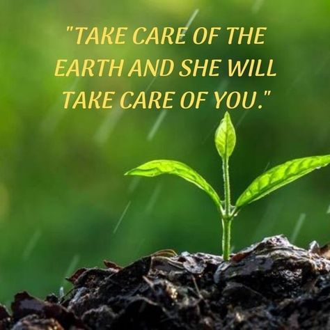 Save Environment Quotes Thoughts, Life On Land Poster, Slogan On Save Environment, Land Degradation, Happy Environment Day, World Environment Day Posters, Environment Poster, Chemistry Posters, Environment Quotes