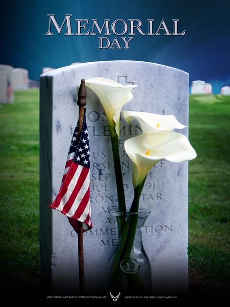 Celebrate Veterans Day Memorial Day Background, Memorial Day Pictures, Memorial Day Quotes, 2k Wallpaper, Arlington National Cemetery, God Bless The Usa, Day Background, National Cemetery, Proud To Be An American