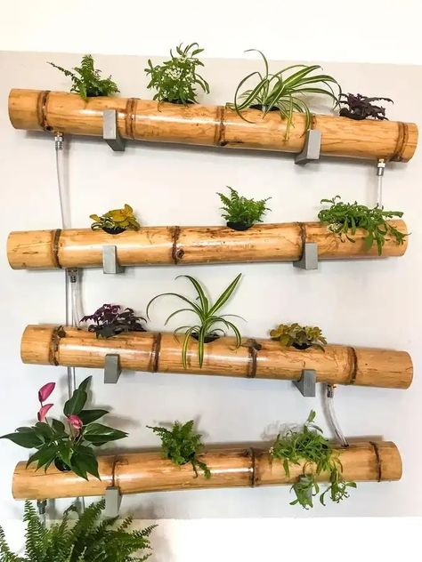 Hydroponic Grow Systems, Bamboo Diy, Flower Shop Design, Bamboo Planter, Bamboo Decor, Vertical Garden Wall, Diy Rustic Decor, Outdoor Deco, Bamboo Art