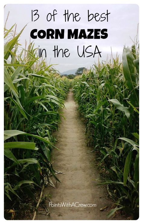 Looking to get lost in a haunted corn maze?  Ideas, pictures and date tips for… Corn Maze Ideas, Haunted Corn Maze, Maze Ideas, Fall Traditions, Date Tips, What Could Possibly Go Wrong, Travel Free, Road Trip Routes, Patch Ideas