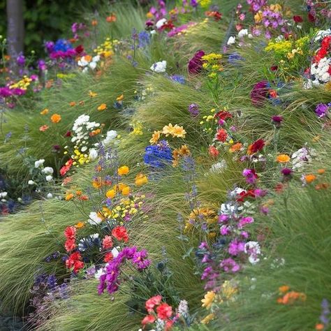 Meadow Garden, Flowers Everywhere, Wild Flower Meadow, Wildflower Meadow, Have Inspiration, Wildflower Garden, Beautiful Flowers Garden, Garden Cottage, Alam Semula Jadi