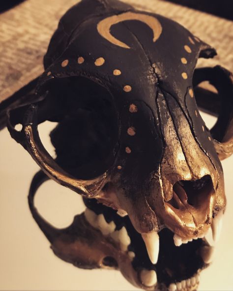 Animal Skull Mask Diy, Animal Skull Painting Ideas, Painted Animal Skulls Ideas, Animal Skull Crafts, Painted Skull Ideas, Animal Skull Painting, Deer Skull Painting, Black Deer Skull, Animal Bone Art